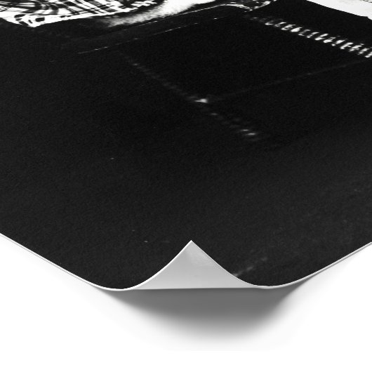  Harry Frees Funny Cats met Birthday Cake Poster (Hoek)