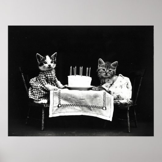 Harry Frees Funny Cats met Birthday Cake Poster (Voorkant)