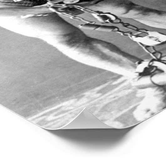 Harry Houdini Poster (Hoek)