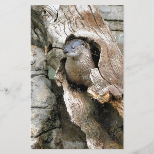 Harry Otter Briefpapier (Voorkant)