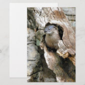 Harry Otter Briefpapier (Voorkant / Achterkant)