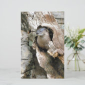 Harry Otter Briefpapier (Staand voorkant)