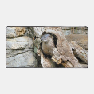 Harry Otter Bureaumat