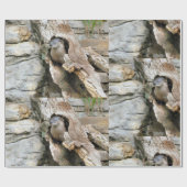 Harry Otter Cadeaupapier (Vlak)