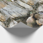 Harry Otter Cadeaupapier (Hoek)