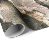 Harry Otter Cadeaupapier (Rol Hoek)