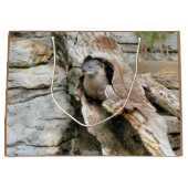 Harry Otter Groot Cadeauzakje (Voorkant)