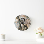 Harry Otter Ronde Klok (Huis)