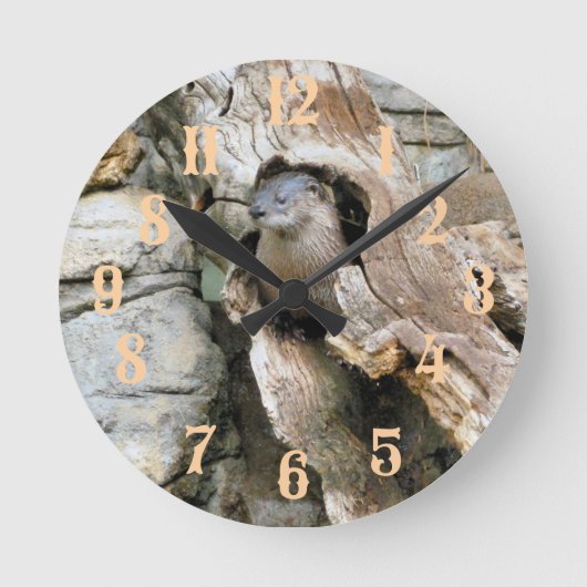 Harry Otter Ronde Klok (Voorkant)