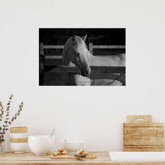 Harry Poster (Keuken)