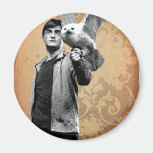 Harry Potter 12 Magneet