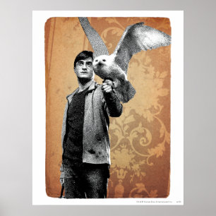 Harry Potter 12 Poster