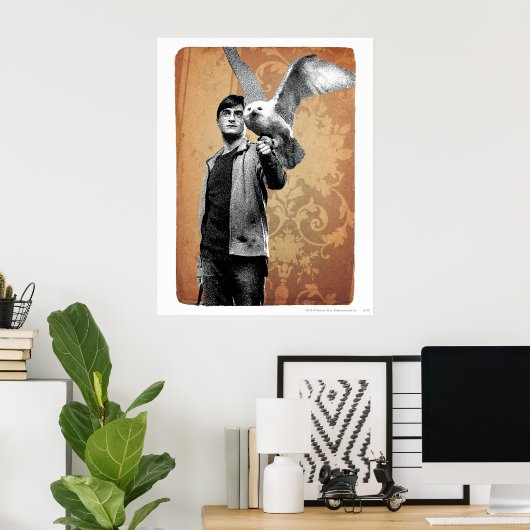 Harry Potter 12 Poster (Thuiskantoor)