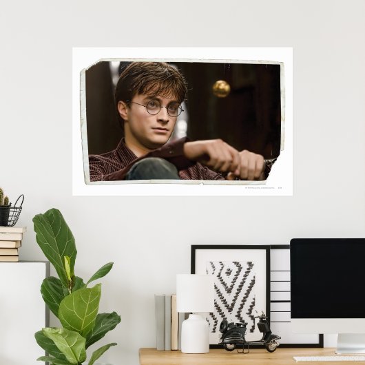 Harry Potter 17 Poster (Thuiskantoor)