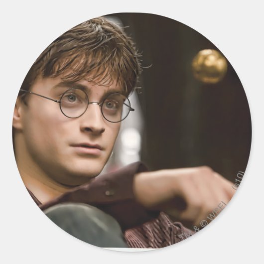 Harry Potter 17 Ronde Sticker (Voorkant)