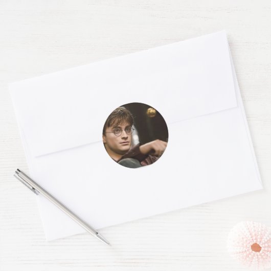 Harry Potter 17 Ronde Sticker (Envelop)
