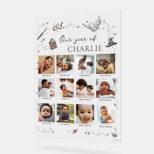 Harry Potter 1st Birthday - 12 maanden fotocollage Acryl Bord (Hoek)