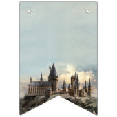 Harry Potter 1ste verjaardag 12 maanden foto Bunti Vlaggetjes (Eerste vlag)