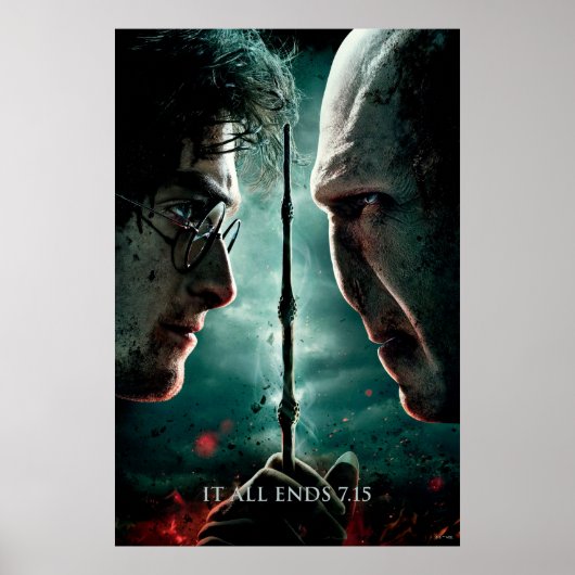 Harry Potter 7 Deel 2 - Harry vs. Voldemort Poster (Voorkant)