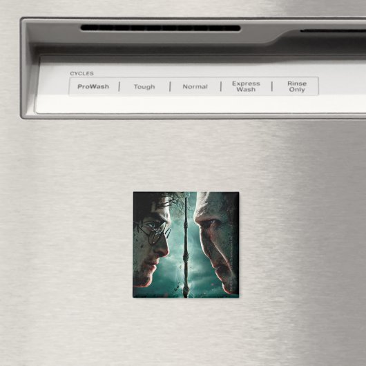 Harry Potter 7 Part 2 - Harry vs. Voldemort Magneet (Insitu (Vaatwasser))