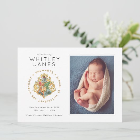 Harry Potter | Aankondiging van de geboorte van Ho (Staand voorkant)
