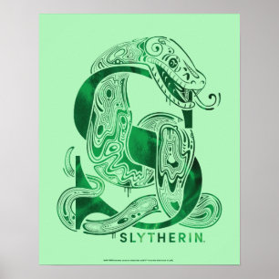 Harry Potter  Afbeelding Aguamenti SLYTHERIN™ Poster