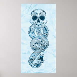 Harry Potter   Aguamenti Dark Mark Grafisch ontwer Poster