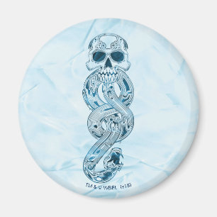 Harry Potter Aguamenti Dark Mark Graphic Magneet