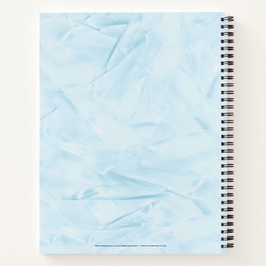 Harry Potter| Aguamenti Dark Mark Notitieboek (Achterkant)