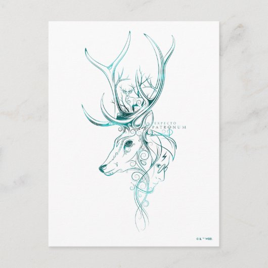 Harry Potter | Aguamenti EXPECTO PATRONUM™ Herten Briefkaart (Voorkant)