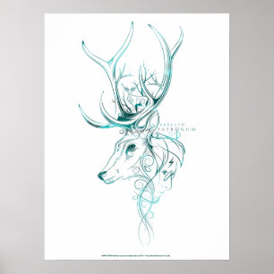 Harry Potter   Aguamenti EXPECTO PATRONUM™ Herten Poster