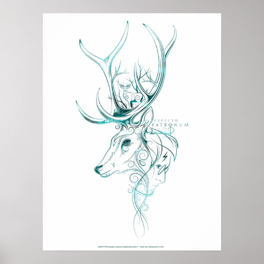 Harry Potter | Aguamenti EXPECTO PATRONUM™ Herten Poster (Voorkant)
