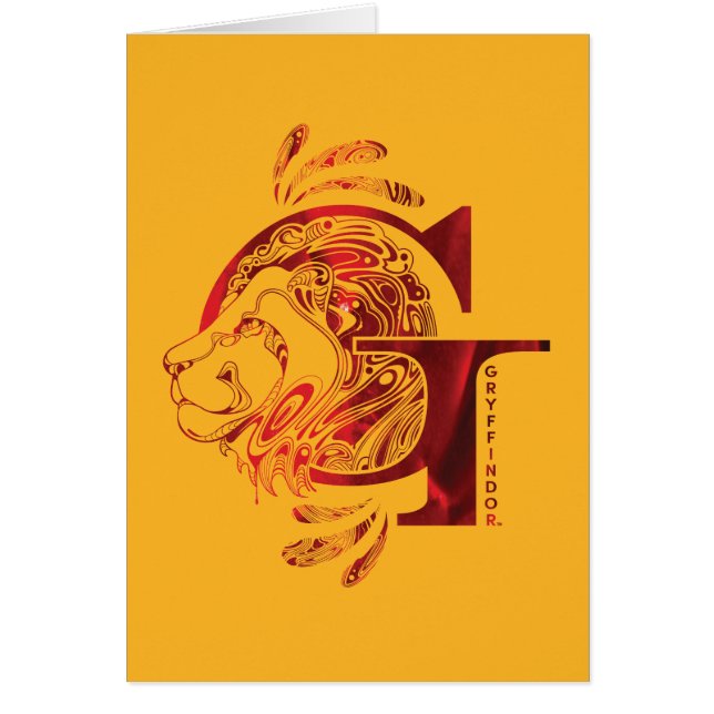 Harry Potter | Aguamenti GRYFFINDOR™ (Voorkant)