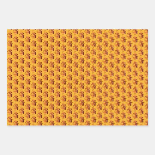 Harry Potter | Aguamenti GRYFFINDOR™ Inpakpapier Vel (Voorkant 2)