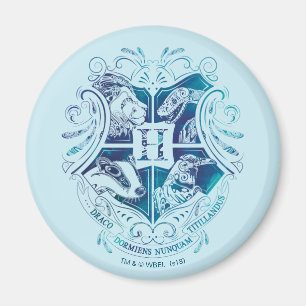 Harry Potter   Aguamenti HOGWARTS™ Crest Magneet
