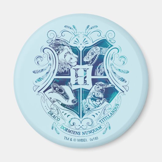 Harry Potter | Aguamenti HOGWARTS™ Crest Magneet (Voorkant)