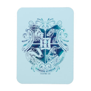 Harry Potter Aguamenti HOGWARTS™ Crest Magneet