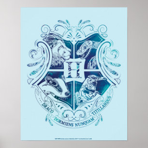 Harry Potter   Aguamenti HOGWARTS™ Crest Poster