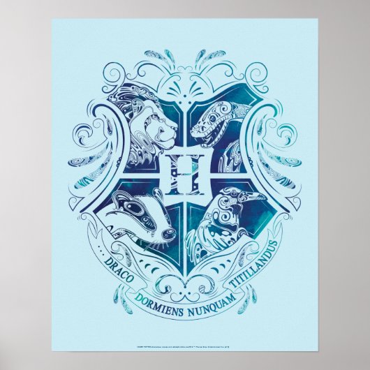 Harry Potter | Aguamenti HOGWARTS™ Crest Poster (Voorkant)