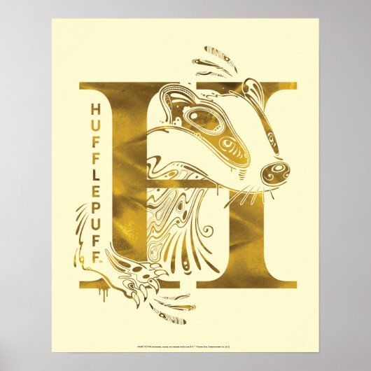 Harry Potter | Aguamenti HUFFLEPUFF™ Grafisch Poster (Voorkant)