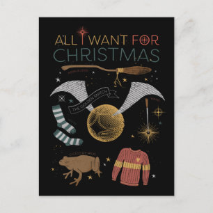 HARRY POTTER™ Alles wat ik met Kerstmis wil Feestdagenkaart