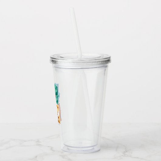 HARRY POTTER™ | CARTOON HOGWARTS™ HUISS ACRYL DRINKBEKER (Links)