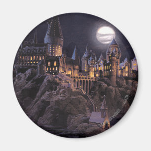 Harry Potter Castle Great Lake to Hogwarts Magneet