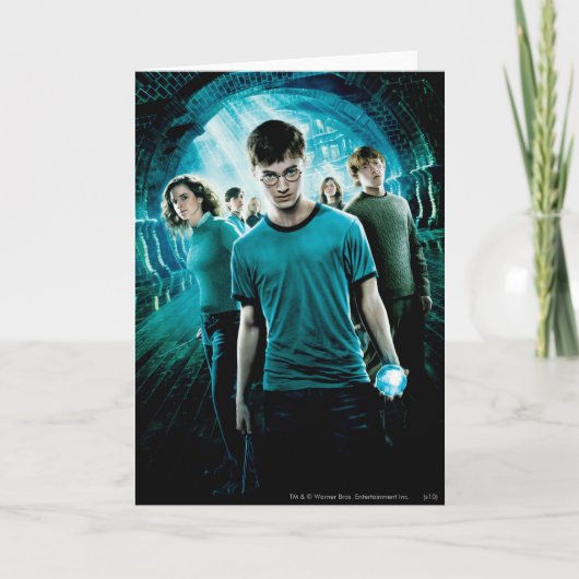 HARRY POTTER EN DE ORDE VAN DE FENIX™ Blauw Kaart (Voorkant)