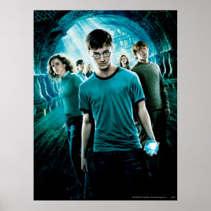 HARRY POTTER EN DE ORDE VAN DE FENIX™ Blauw Poster