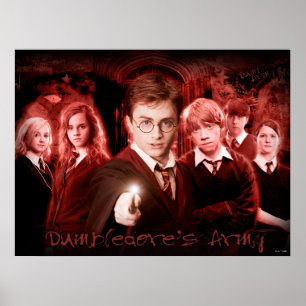 HARRY POTTER EN DE ORDE VAN HET PHOENIX™ Red Poster