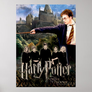 HARRY POTTER EN DE ORDE VAN PHOENIX™ POSTER