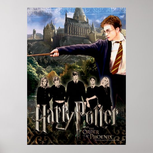 HARRY POTTER EN DE ORDE VAN PHOENIX™ POSTER (Voorkant)