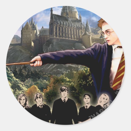 HARRY POTTER EN DE ORDE VAN PHOENIX™ RONDE STICKER (Voorkant)