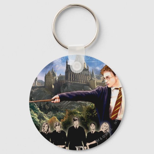 HARRY POTTER EN DE ORDE VAN PHOENIX™ SLEUTELHANGER (Voorkant)